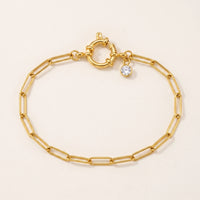 Thumbnail for Brother and Sisters Carabiner Anklet packshot — gold paperclip chain with nautical spring-ring clasp and round CZ accent